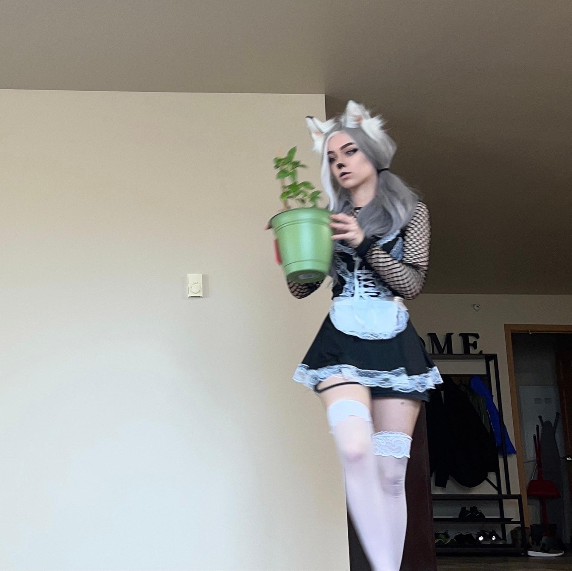 Awkspew_roo2 / lilith zulaykha / omw2fyd Голые утечки OnlyFans 1
