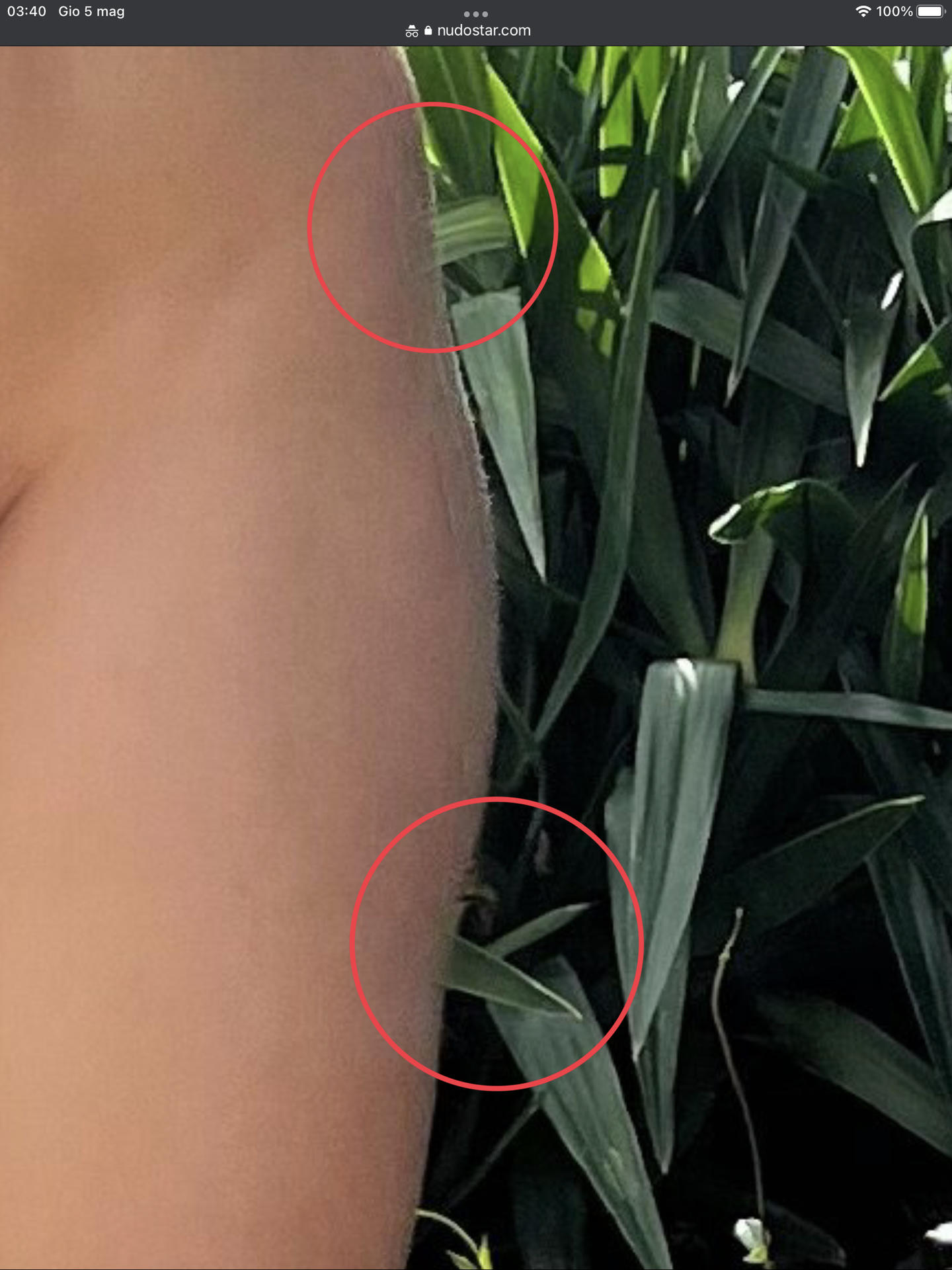 Stefania Ferrario / stefaniaferrario Обнажённые утечки OnlyFans 1