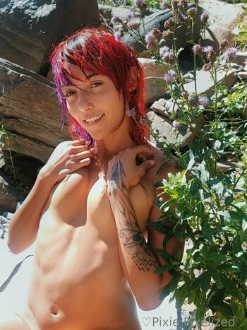 PixiePixelized Голые Утечки Фото 24