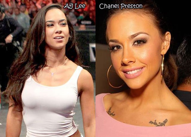 17.AJ Lee Chanel Preston
