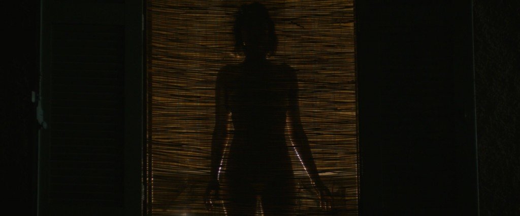 Марион Котийяр обнажённая 6