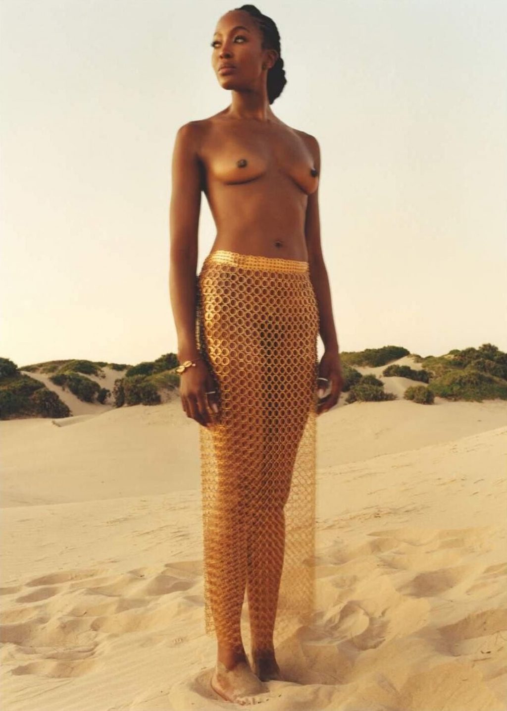 Naomi Campbell Nude